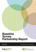 HeppSY+ Baseline Survey Partnership Report