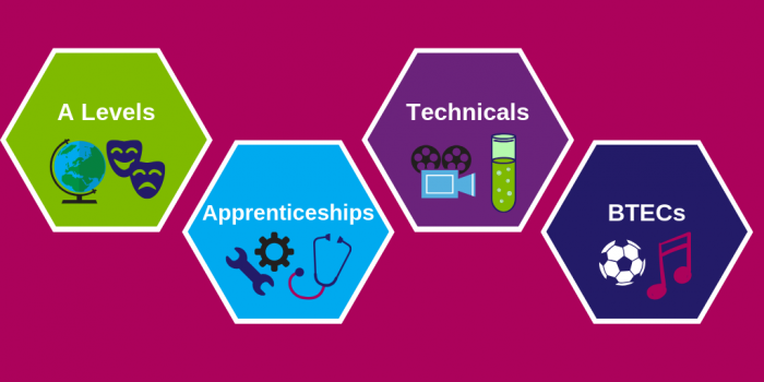 Graphic showing the qualification options: A Levels, Apprenticeships, Technicals, BTECs