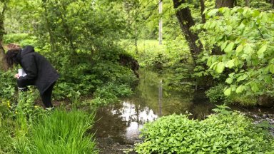 Juliet's Journey to HE